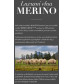 Pánské tričko Merino Rise z jemné ovčí merino vlny